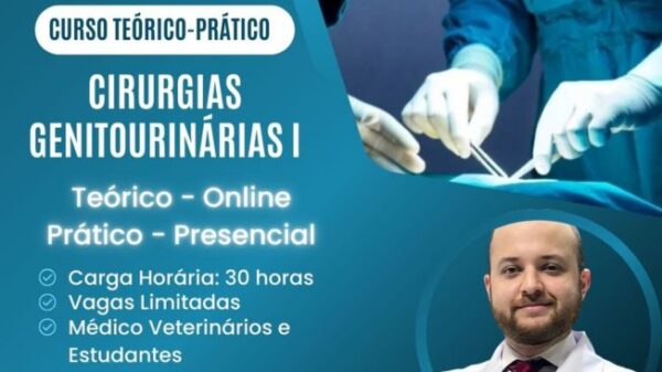 Cirurgias Genitourinárias I