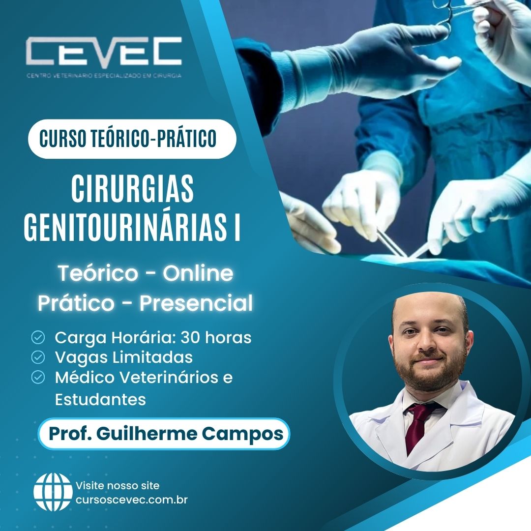 Cirurgias Genitourinárias I