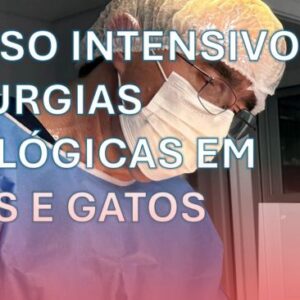 Curso intensivo de cirurgias otológicas em cães e gatos