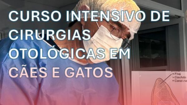 Curso intensivo de cirurgias otológicas em cães e gatos